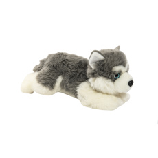 TEDDIES Pes/pejsek ležící Husky 0+ TEDDIES Pes/pejsek ležící Husky 0+